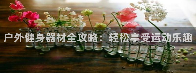 征途国际招商电话地址查询：户外健身器材全攻略：轻松享