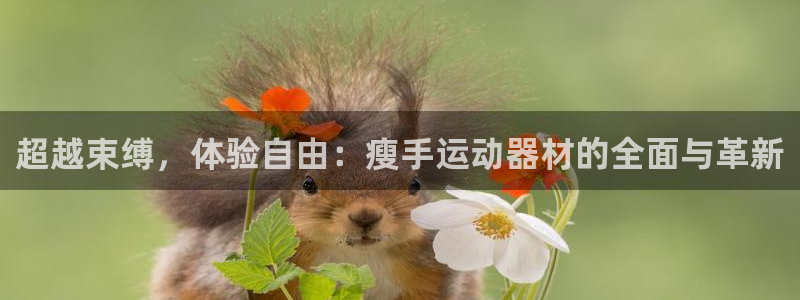 征途国际招商：超越束缚，体验自由：瘦手运动器材的全面与革新