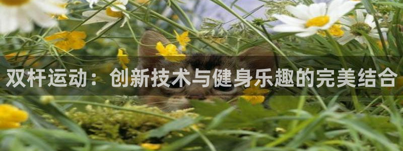 征途国际娱乐代理怎么样：双杆运动：创新技术与健身乐趣