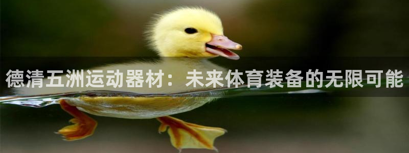 征途国际平台注册：德清五洲运动器材：未来体育装备的无