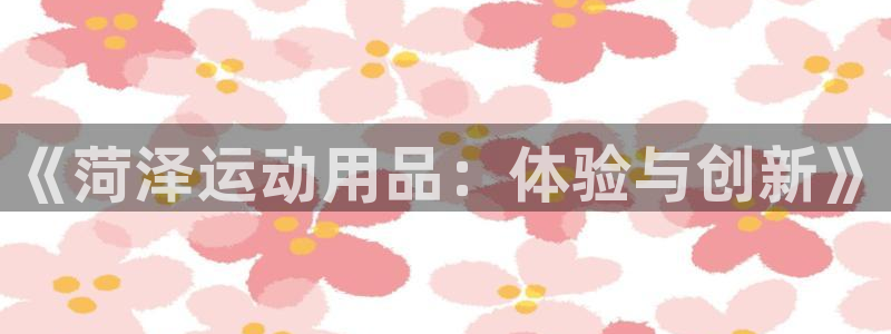 征途国际代理：《菏泽运动用品：体验与创新》