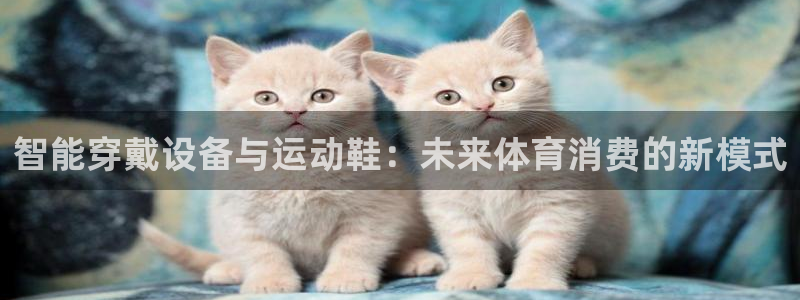 征途国际招商电话号码是多少：智能穿戴设备与运动鞋：未来体育消