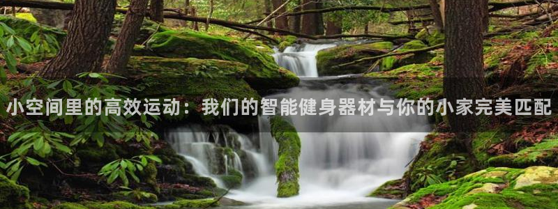 征途国际招商电话号码是多少：小空间里的高效运动：我们的智能健