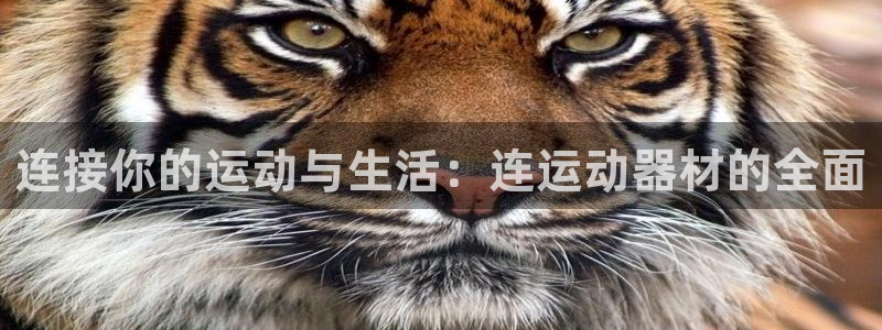 征途国际招商电话号码是多少：连接你的运动与生活：连运