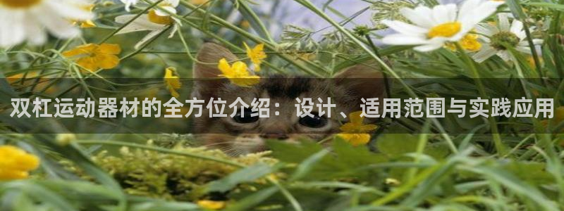 征途国际招商电话：双杠运动器材的全方位介绍：设计、适用范围与
