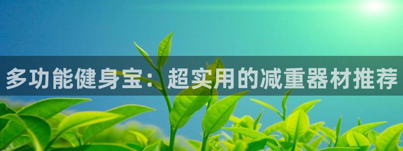 征途国际娱乐首页官网下载：多功能健身宝：超实用的减重器材推荐