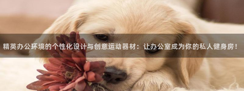 征途国际集团简介：精英办公环境的个性化设计与创意运动