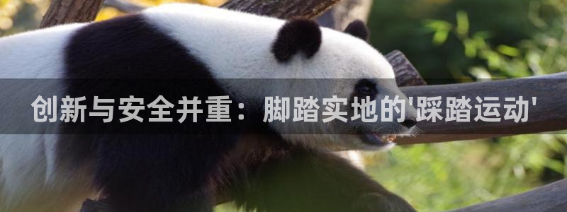 征途国际平台是正规平台吗：创新与安全并重：脚踏实地的