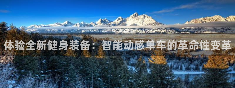 征途国际：体验全新健身装备：智能动感单车的革命性变革