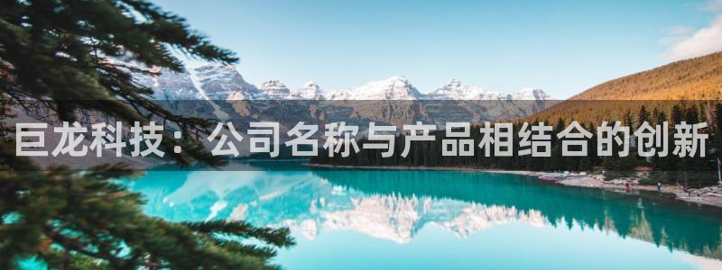 征途国际平台假的吗是真的吗吗：巨龙科技：公司名称与产品相结合
