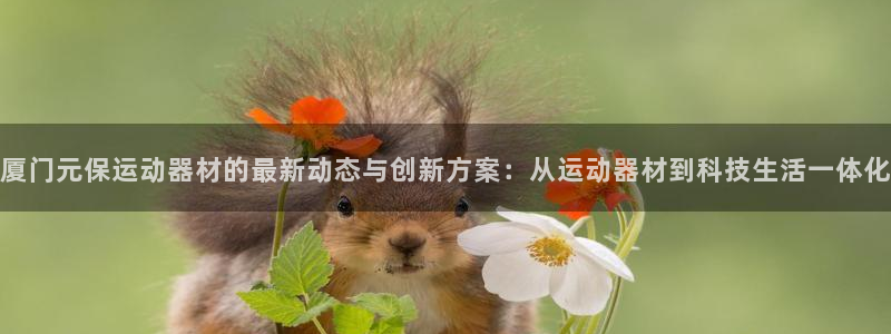 征途国际平台假的吗是真的吗：厦门元保运动器材的最新动态与创新
