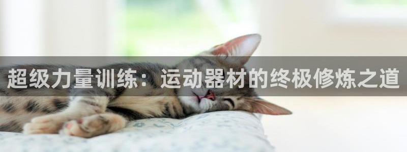 征途国际招商电话号码：超级力量训练：运动器材的终极修