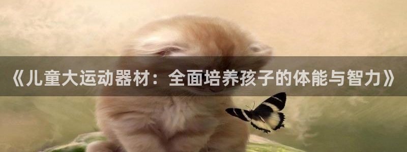 征途国际招商电话地址：《儿童大运动器材：全面培养孩子