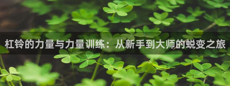 征途国际娱乐下载：杠铃的力量与力量训练：从新手到大师的蜕变之