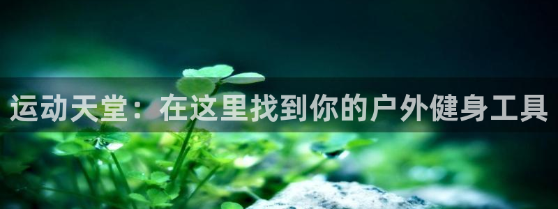 征途国际集团logo：运动天堂：在这里找到你的户外健