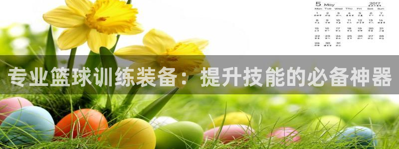 征途国际平台假的吗是真的吗：专业篮球训练装备：提升技能的必备