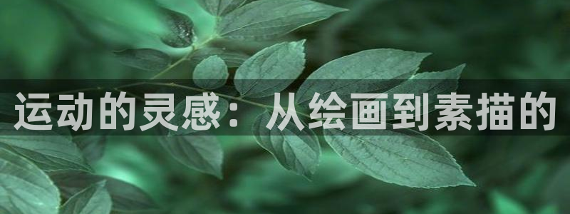征途国际招商电话号码是多少号：运动的灵感：从绘画到素
