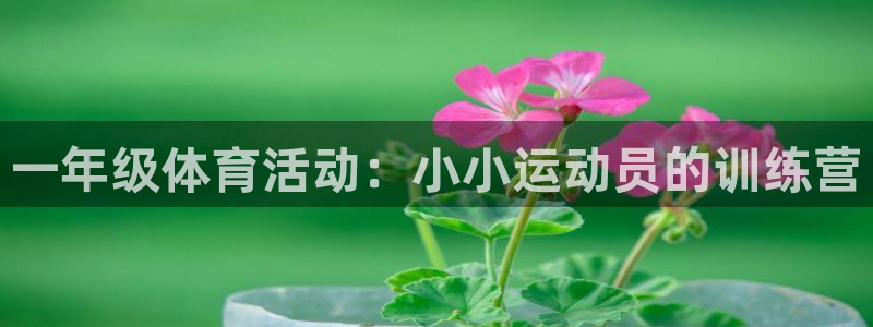 征途国际官方：一年级体育活动：小小运动员的训练营